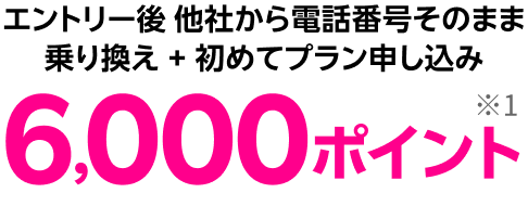 エントリー後他社から電話番号そのまま乗り換え + 初めてプラン申し込み 6,000ポイント※1