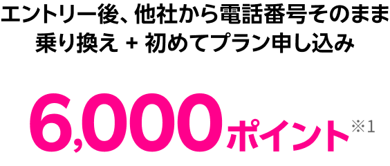 エントリー後、他社から電話番号そのまま乗り換え + 初めてプラン申し込み 6,000ポイント※1