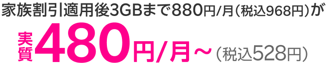 家族割引適用後3GBまで880円/月（税込968円）が実質480円/月~（税込528円）