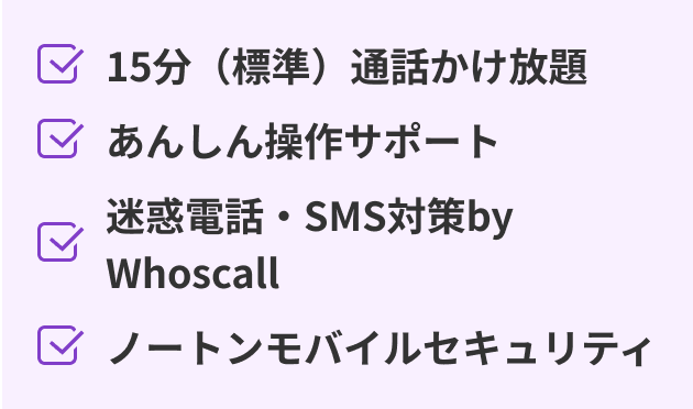 ４つのオプションリスト