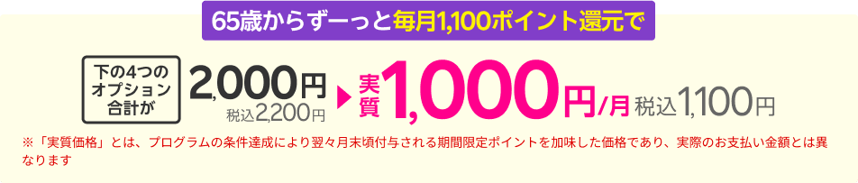 65歳からずーっと毎月110ポイント還元で下の4つのオプション合計が実質1,000円/月（税込1,100円）※「実質価格」とは、プログラムの条件達成により翌々月末頃付与される期間限定ポイントを加味した価格であり、実際のお支払い金額とは異なります